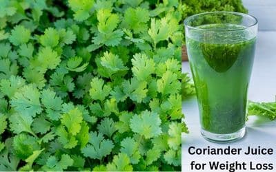 Ultimate Guide to Make Coriander Juice for Weight Loss